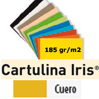 CARTULINA CUERO 185gr. 50x65 cm