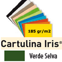 CARTULINA VERDE SELVA 185gr. 50x65 cm