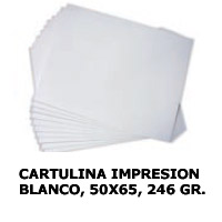CARTULINA IMPRESION BLANCO 240gr. 50x65 cm