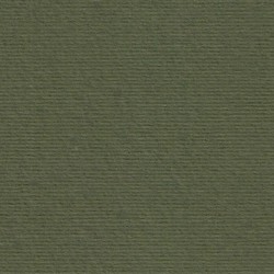 CARTULINA <b>'LR' 220gr. Verde Oscuro</b> 50x70 cm.