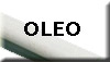 Oleo/Acrilico